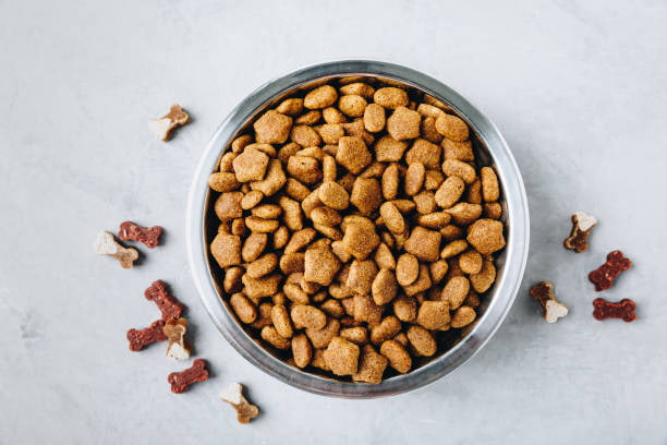 تصویر 4 از غذای سگ خانگی کاملا طبیعی برای تامین انرژی روزانه